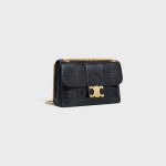 Medium Celine Victoire Bag IN Python - Image 6